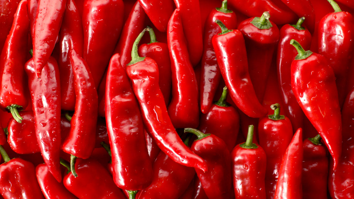 İstanbul'da bir ucuzluk marketinin premium şubesi olarak faaliyet gösteren bir mağazadan alınan kırmızı biber analizinde güvenli limitin 110 katı üzerinde Formetanate tespit edildi.
Üründe ayrıca Türkiye'de yasaklı Chlorpyrifos maddesine de rastlandı!
gidadedektifi.com/status/1610