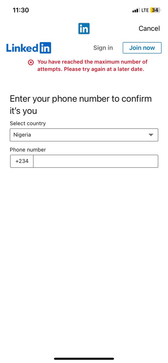 Elza🌹 tweet media