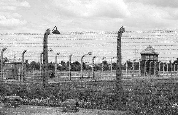 KrakowTOP's tweet image. 1/7 🕯️ Experience a profound journey through history with Auschwitz  Guided Tours for Individual Visitors. Reflect, learn, and honor the  past. #KrakowTOP #AuschwitzTour #HistoryTravel #NeverForget