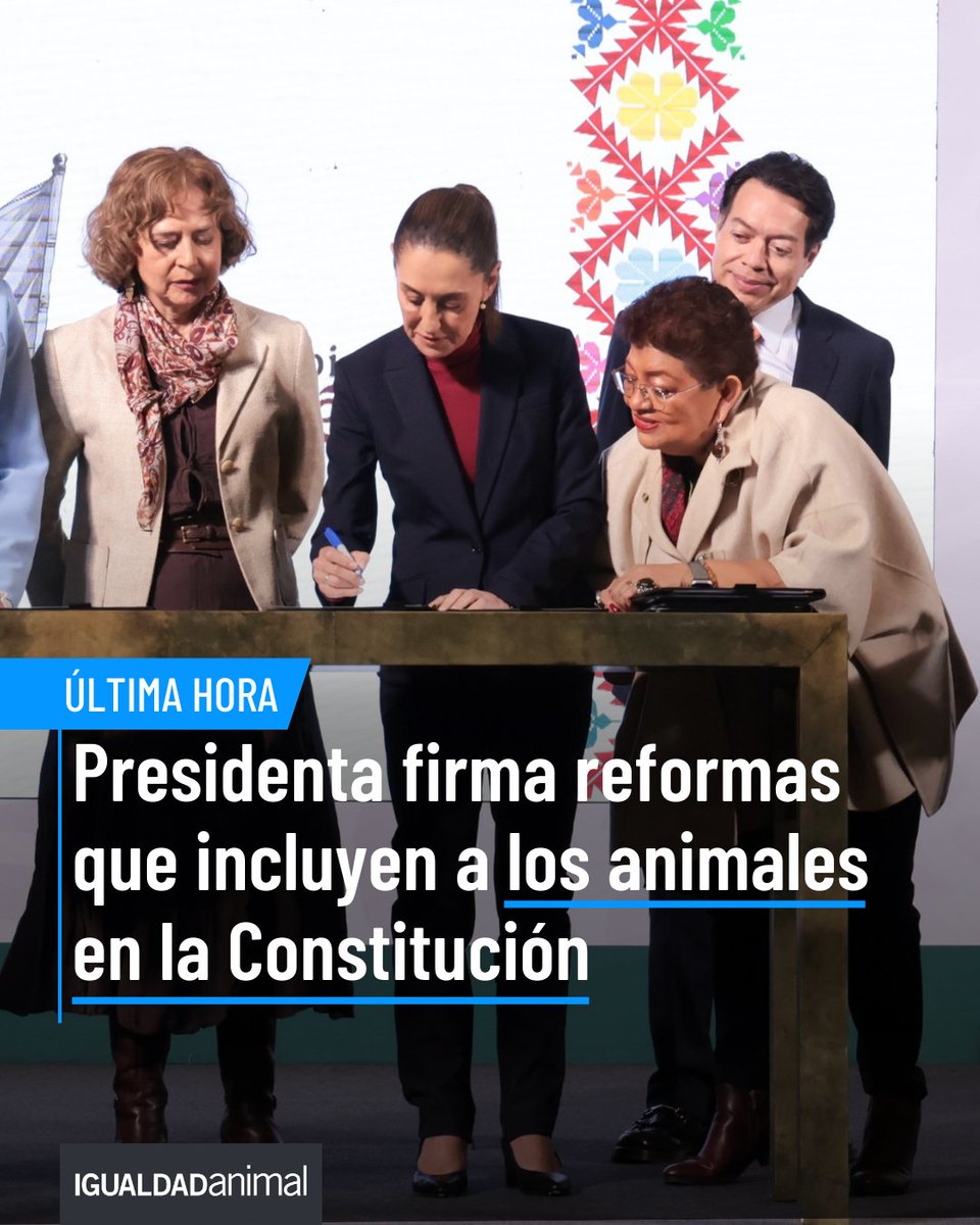 IA_Mexico's tweet photo. 🚨 #ÚltimaHora  

 ¡#AnimalesALaConstitución es una realidad!  

Lee la nota aquí: https://t.co/bep9wMY0Tw https://t.co/51KRlXhZTU