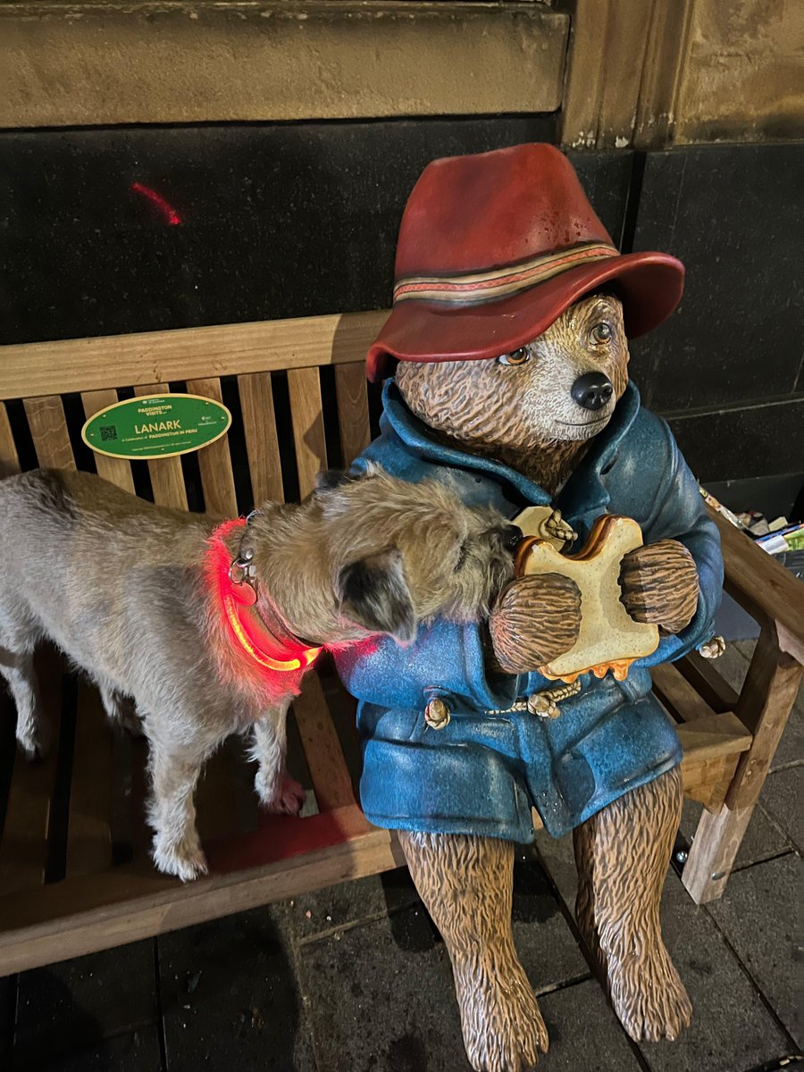 BBCScotlandNews's tweet photo. Jack Alston captured the moment his dog Freddie tried to steal some of Paddington's sandwich in Lanark

See more lovely photos from around Scotland here ➡️ https://t.co/RBLd9CRZE0

Send your pictures of Scotland to scotlandpictures@bbc.co.uk https://t.co/Mv6tKueRbm