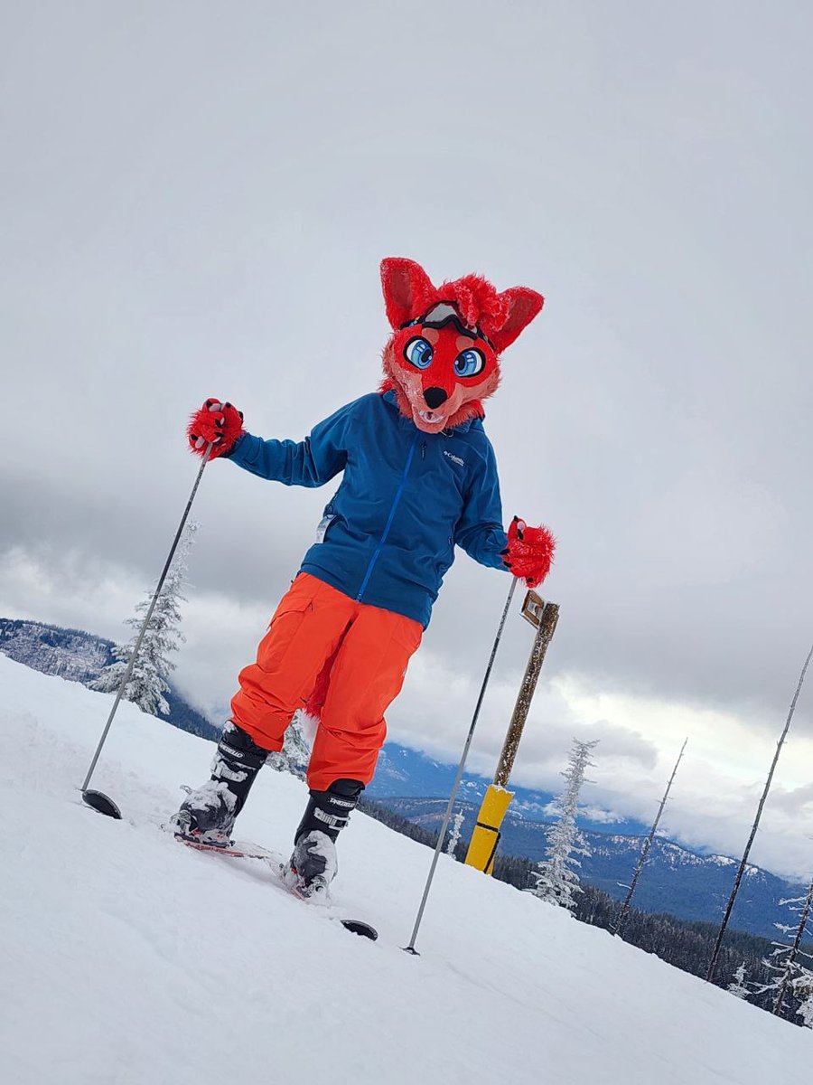 When skiing with my very good furry friend <a href="/ZethinFox/">Zethin</a> and Maxx last weekend, we had a great time