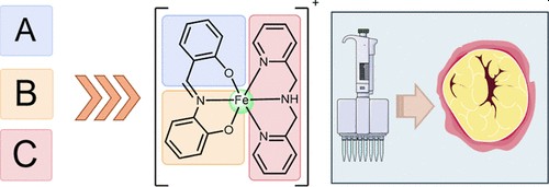 Johannes Karges (@johannes_karges) on Twitter photo Check out our article in J. Med. Chem. <a href="/ACSBioMed/">ACS Publications Bio & Med Chem Content</a> about the Combinatorial Synthesis toward the Discovery of Highly Cytotoxic Fe(III) Complexes. Congrats to Felix, Lisa, <a href="/Zisispapad/">Zisis Papadopoulos</a> and <a href="/NMontesdeoca_/">Nicolás Montesdeoca</a> ! <a href="/ChemieBiochemie/">Fakultät für Chemie und Biochemie der RUB</a> <a href="/ruhrunibochum/">Ruhr-Universität Bochum</a> pubs.acs.org/doi/10.1021/ac… Check out our article in J. Med. Chem. <a href="/ACSBioMed/">ACS Publications Bio & Med Chem Content</a> about the Combinatorial Synthesis toward the Discovery of Highly Cytotoxic Fe(III) Complexes. Congrats to Felix, Lisa, <a href="/Zisispapad/">Zisis Papadopoulos</a> and <a href="/NMontesdeoca_/">Nicolás Montesdeoca</a> ! <a href="/ChemieBiochemie/">Fakultät für Chemie und Biochemie der RUB</a> <a href="/ruhrunibochum/">Ruhr-Universität Bochum</a> pubs.acs.org/doi/10.1021/ac…