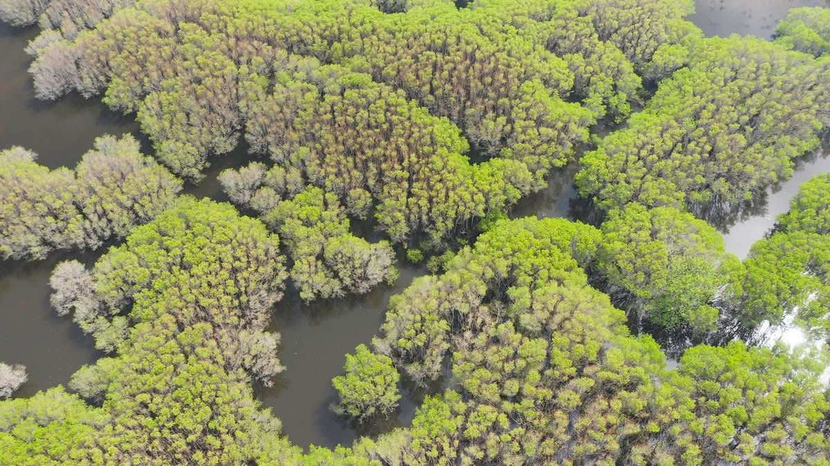 Ramla Khalidi tweet media