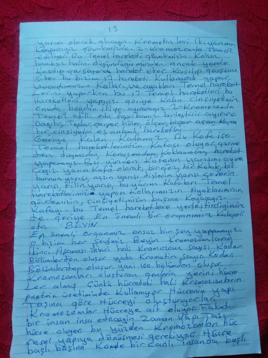 Evrim teorisi 
Sayfa 13 onikinin devamı
