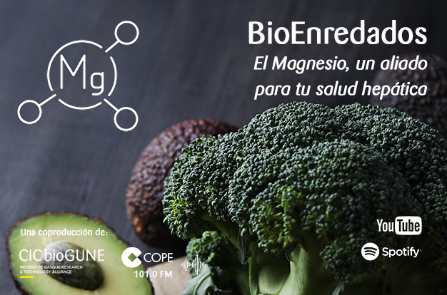 #bioGUNE_Outreach | 🔬 ¿Sabes qué papel juega el #magnesio en tu organismo?

➡️ Acompáñanos con las investigadoras Irene González y <a href="/NaroaGoiko/">Naroa Goikoetxea</a> <a href="/chantarlab/">MaluMChantarlab</a> #CICbioGUNE <a href="/brta_eus/">BRTA - Basque Research and Technology Alliance</a> mientras exploramos su impacto en la #salud hepática

🎧 ow.ly/kOJx50Uqsjq