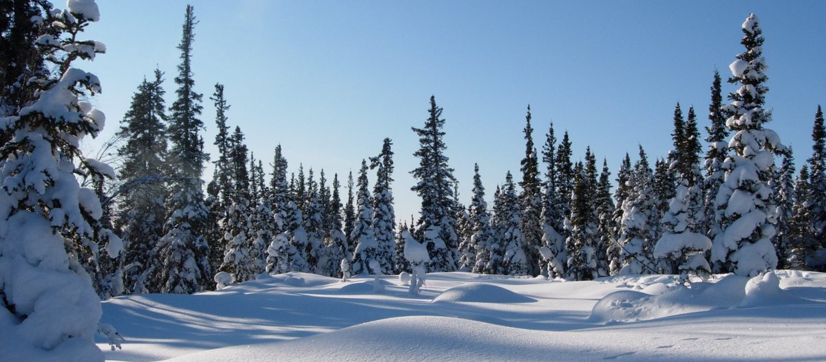 Being out in the Canadian wilderness a few decades ago on a Northern Lights weekend trip, I felt in love with how pristine and beautiful it was.

But it was certainly cold with the wind chill taking it to -20°C or -4°F.

So, here's to #PanoPhotos Themed Week of "Cold"! 🥶❄️