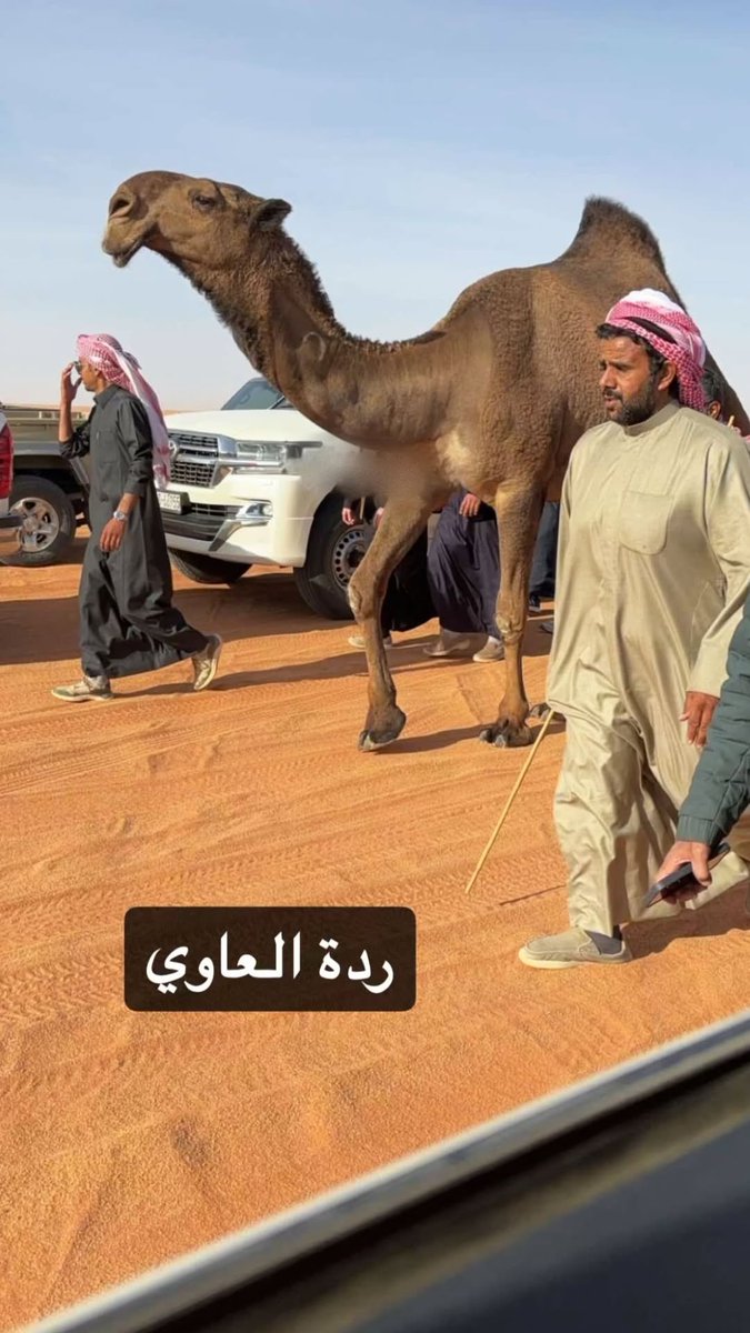 لبى كبدش وكبد ابيش