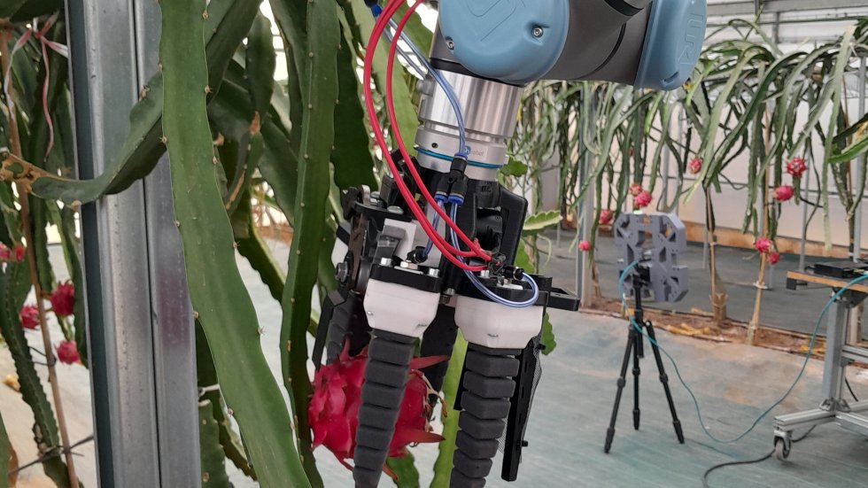eamnupv's tweet photo. Francisco Rovira y Coral Ortiz, profesores #ETSEAMN, junto al técnico Montano Pérez, participan en #DRAGONBOT: un innovador💡 proyecto para desarrollar un sistema robótico avanzado 🤖 capaz de recolectar cultivos🍅 de invernadero de forma escalonada.
📰 https://t.co/TXx8IRO3kI https://t.co/0CsBzqxtA4