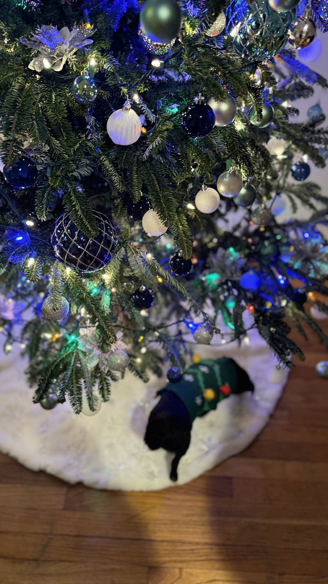 monasuarezg's tweet photo. All I want for Christmas is you❤️ https://t.co/xFOiCFKaDR