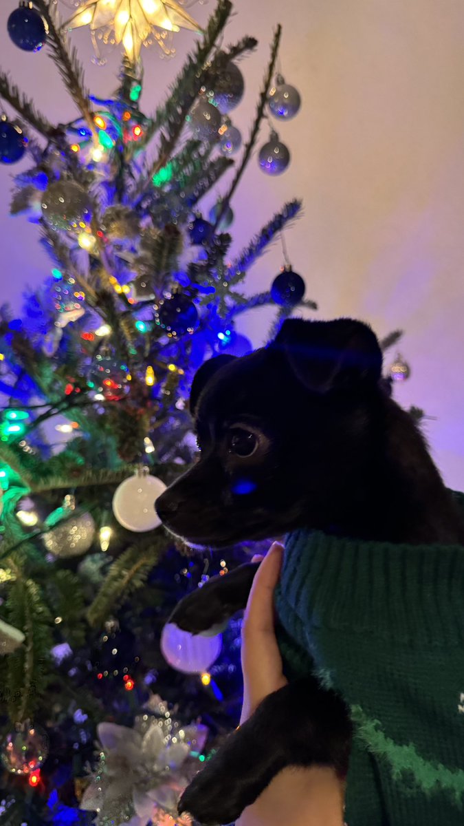 monasuarezg's tweet photo. All I want for Christmas is you❤️ https://t.co/xFOiCFKaDR
