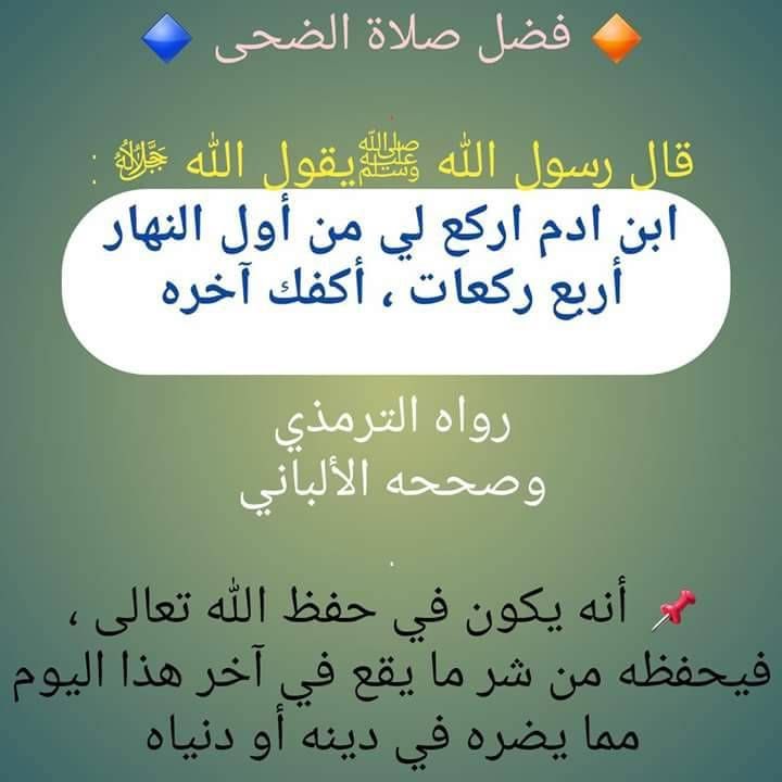 لـــــ🌸ـــــولي tweet media
