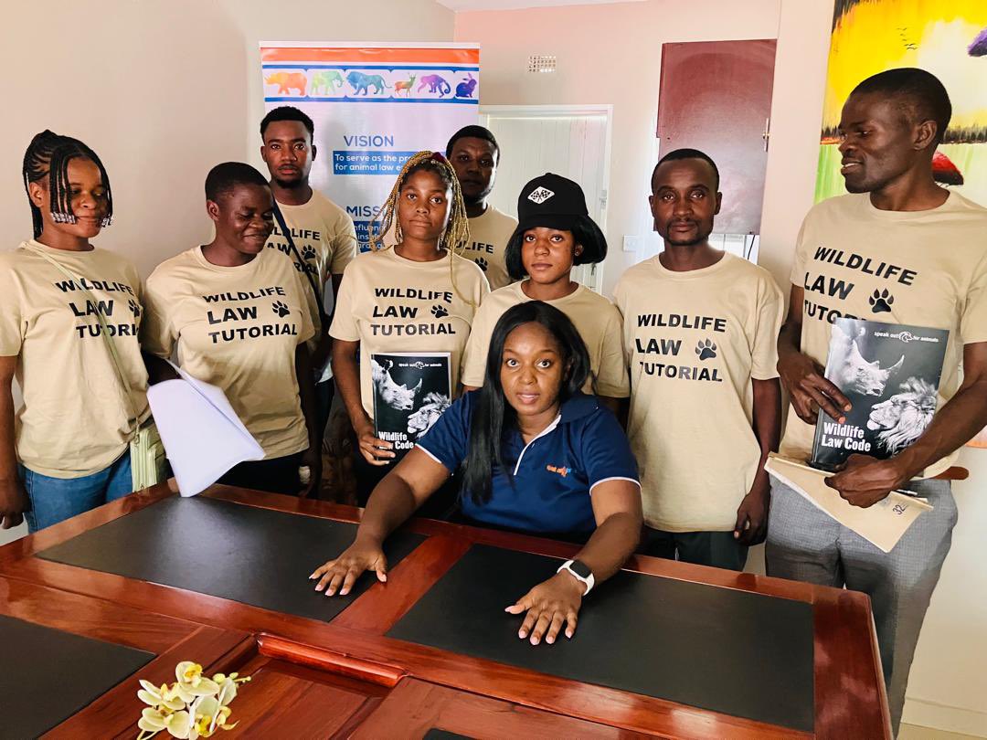 speakoutforanim's tweet image. #2024Achievements
With the goal of enhancing the protection of wildlife, we embarked on training a group of youths interested in  becoming safari guide and rangers. This training increased the number of youths knowledgeable about wildlife law and better suited to protect wildlife