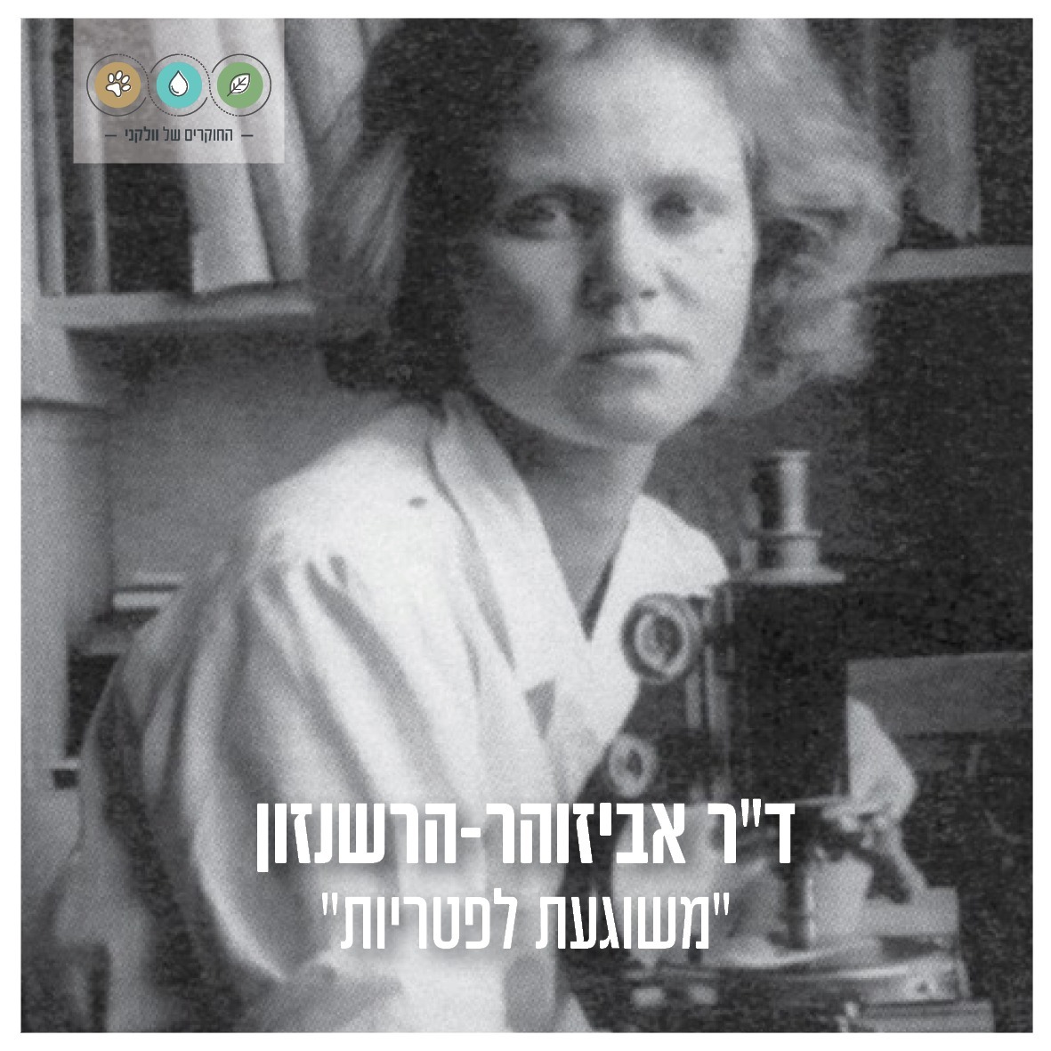 החוקרים של וולקני tweet media