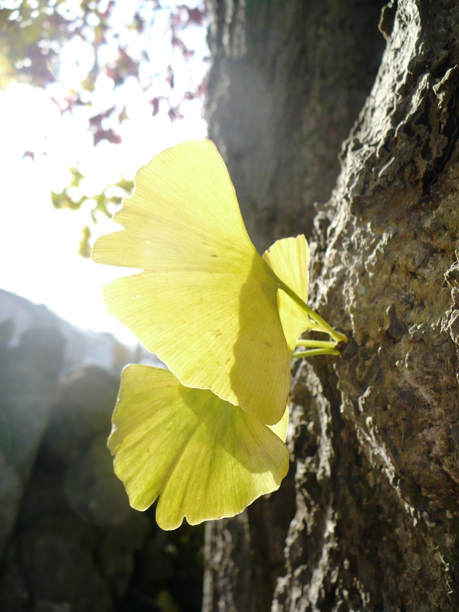 Paul Brain tweet media