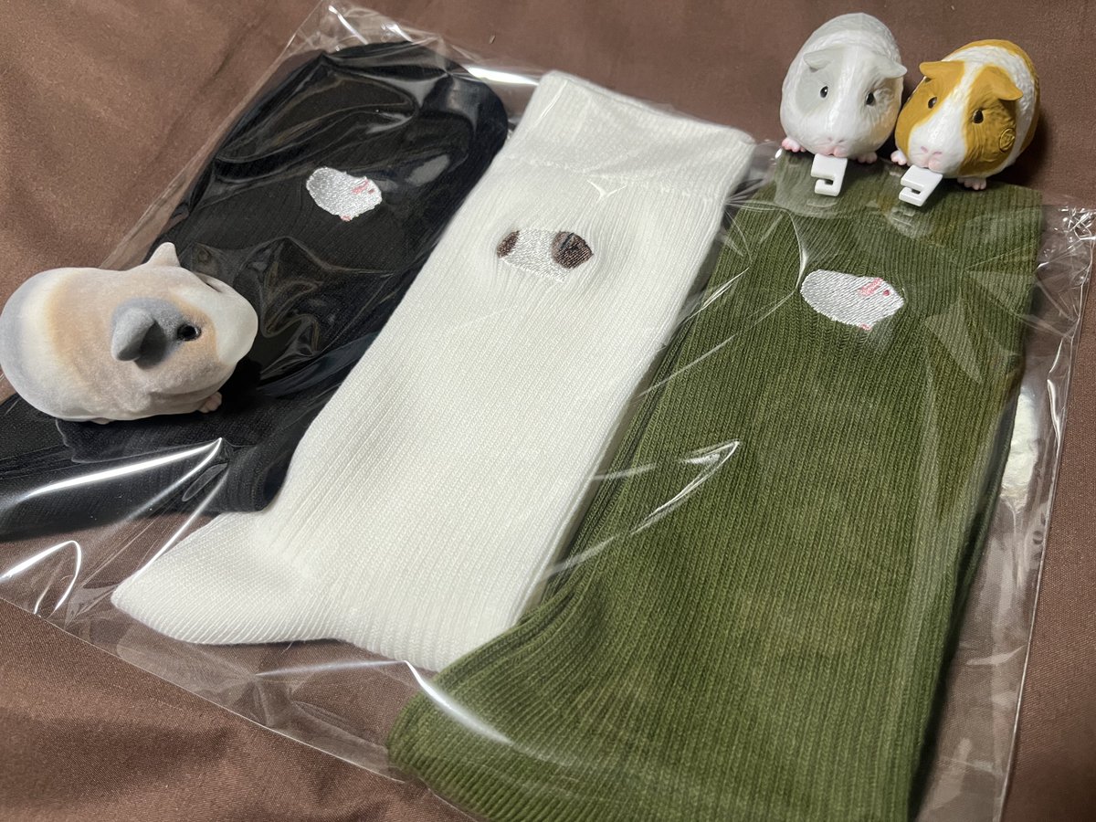 _ya_kan's tweet image. モルトピアさんの刺繍靴下追加購入🥳
モルぷいでもっと買えば良かった〜!と思ってたので通販で購入できて嬉しい🎶
本日いっぱいまでクーポンも使えるので皆さんもモル靴下お揃いにしましょ〜!