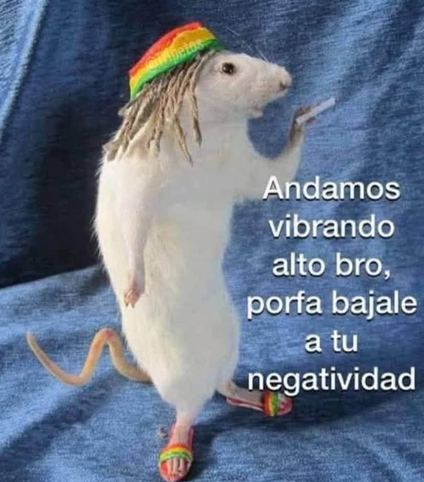 Por favor