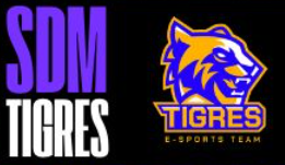 SDMTigres's tweet photo. Top #5 en la Octava Edición de la @BlossomLeague
De entre 28 Equipos y una solo una corona, esta vez se nos escapó.
¡Aún queda mucho por demostrar!
#GoSDM https://t.co/HR1guUw4hz