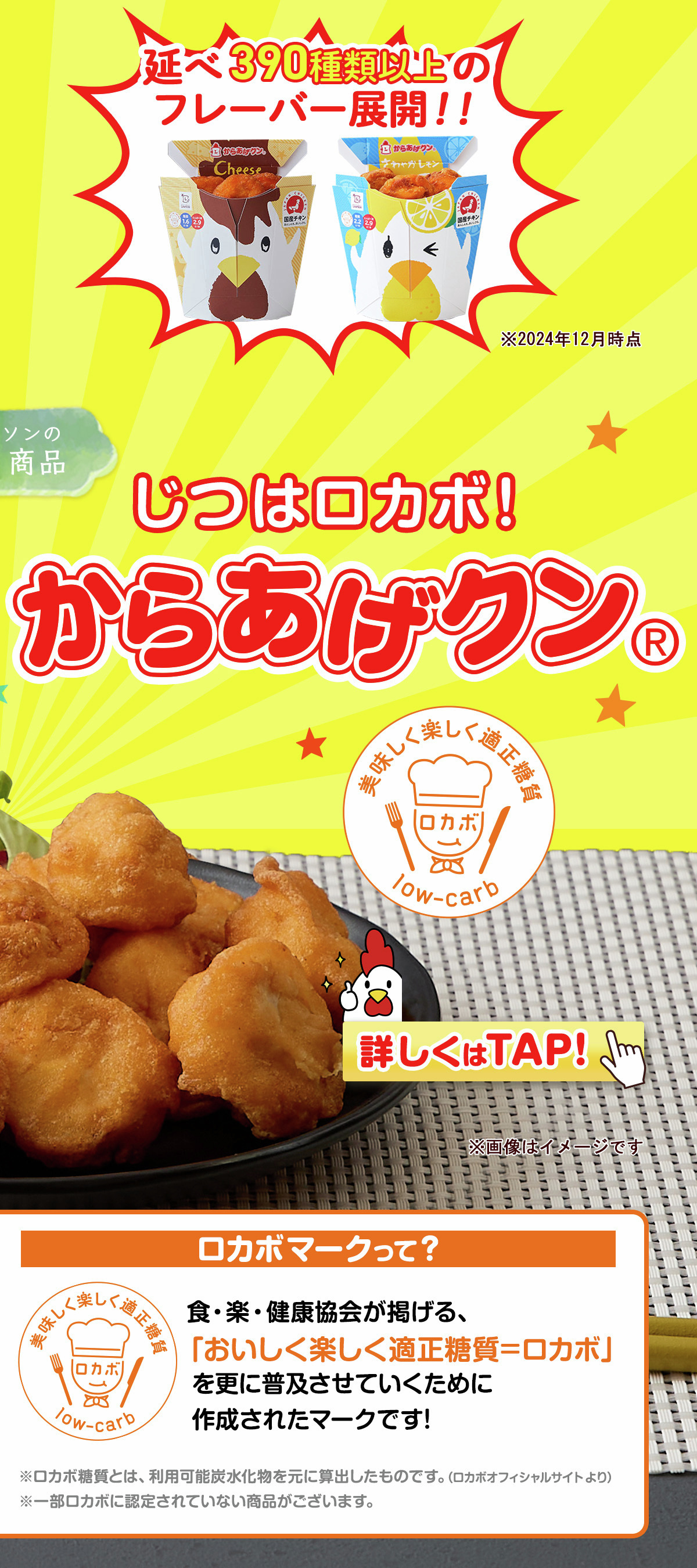 からあげクン専用 CUNE® × からあげクン BODY BAG : ききらら☆雑誌付録レビュー