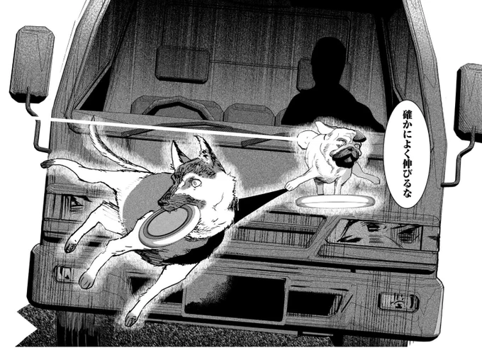 フリスビーに"乗る"イッヌの話(0/5) 
