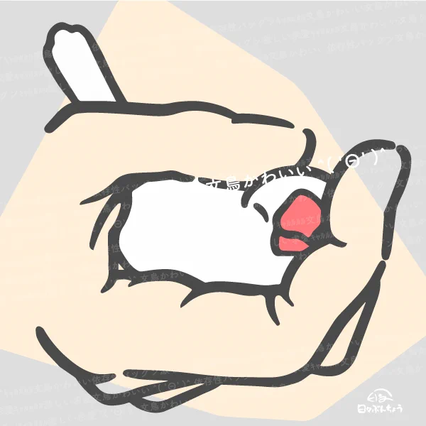 文鳥にぎにぎ 