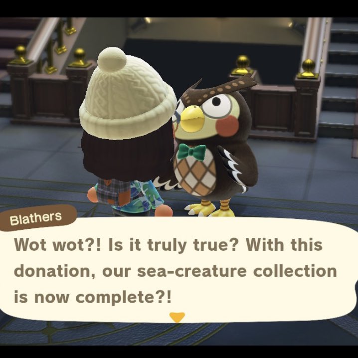 AcnhBray's tweet photo. i’ve been playing this game since 2020 and i am just now completing my sea creatures guide. all because i didn’t know you could catch a lobster in december 😂🦞☑️ #acnh #animalcrossing #animalcrossingnewhorizons #acnhseacreature #acnhseacreaturesguide https://t.co/7fD623vCeQ