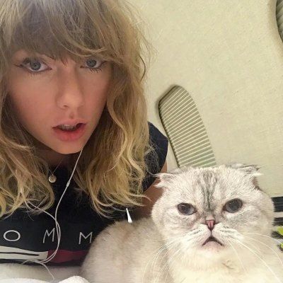 strwbeariis's tweet photo. ୨୧ : what do you think taylor’s saddest song is? https://t.co/2glGaGQPPs