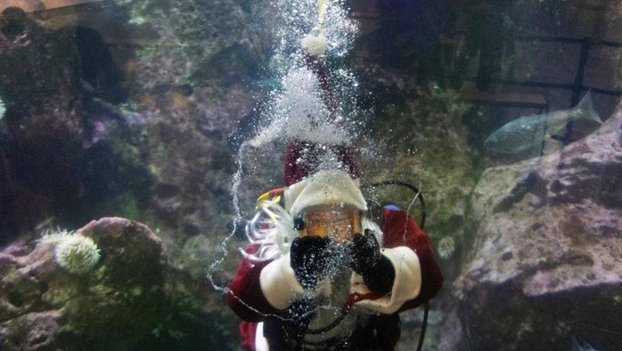 detikTravel's tweet photo. #FOTO Aksi Sinterklas berenang bareng ikan-ikan di Seattle ini beda banget! ๐๐
Kira-kira bakal seru nggak kalau hal serupa ada di Indonesia? ๐
>>https://t.co/WK5C2tb4lL
Foto: REUTERS/Matt Mills
#detiktravel #Natal2024 #Sinterklas #Seattle #AksiUnik https://t.co/TE3L0wjrby