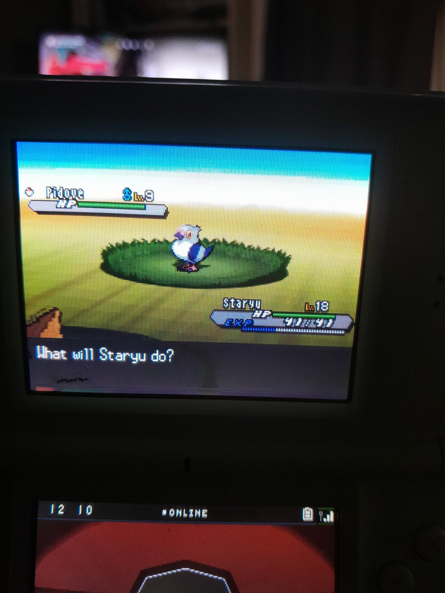 #PokemonBlackWhite2 #ShinyPokemon shiny Pidove (phase 3 for Patrat)