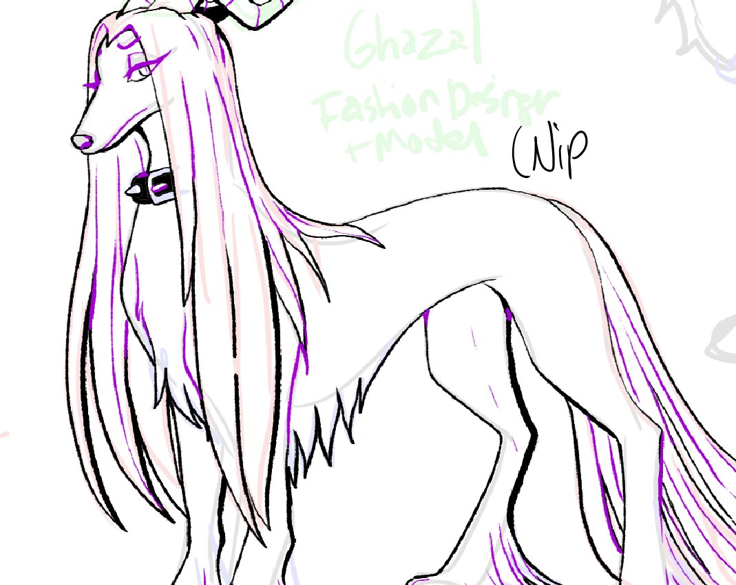 SoloAzume's tweet photo. dogs that say boorf boorf vs dogs that say woowoowoo
#WIP #originalcharacter https://t.co/mYk1ICdGDO