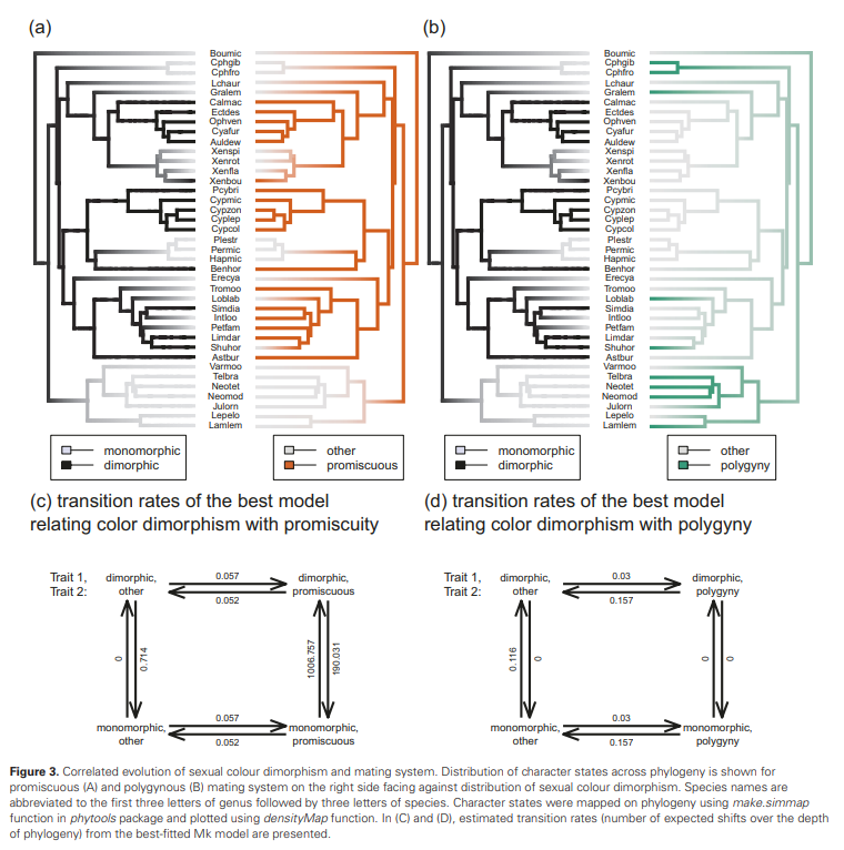 Liam Revell (@phytools_liam) on Twitter photo Check out this awesome figure made with the help of #phytools in "Sexually divergent selection, allometric constraints, and the evolution of sexual dimorphism in cichlids from Lake Tanganyika" by <a href="/MasahitoTsuboi/">Masahito Tsuboi</a> & Takahashi (2024; doi.org/10.1093/jeb/vo…). Check out this awesome figure made with the help of #phytools in "Sexually divergent selection, allometric constraints, and the evolution of sexual dimorphism in cichlids from Lake Tanganyika" by <a href="/MasahitoTsuboi/">Masahito Tsuboi</a> & Takahashi (2024; doi.org/10.1093/jeb/vo…).