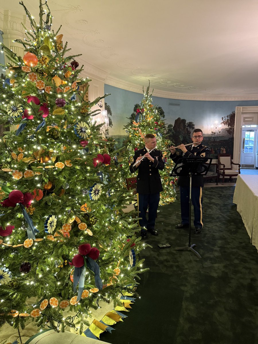 zach_wide's tweet photo. Christmas at the White House 🎄 https://t.co/mblduST6jN