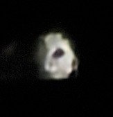 JesleathJessica's tweet photo. Sky light ships Frequency of what I captured  in Texas
✨️ ❤️ ✨️❤️✨️❤️✨️❤️✨️
#lightship https://t.co/Hf4B4iMAO2