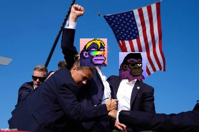 Trippy__999's tweet image. @CyberKongz Vs SEC. 
Fighting for our industry! ⚔️