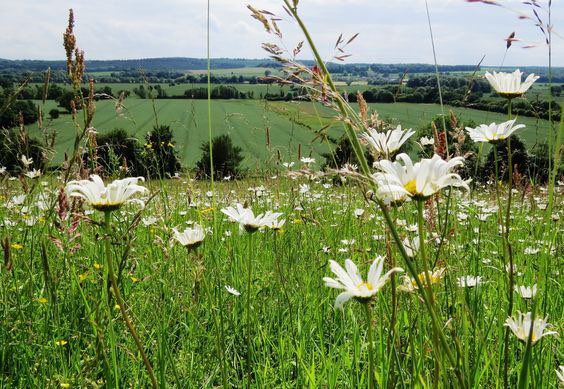 صباح الخيـــــر ☕️ 🦋`..  

"​​يا رَب صَباحًا زاهيًا مُشرقًا، تُطوِّقنا بهِ رَحماتُك، وتُرافقُنا بهِ بَركاتُك، ويَحلُّ بهِ عَلينا تَوفيقُك، وتُرينا بهِ كلَّ خَير"🤍.