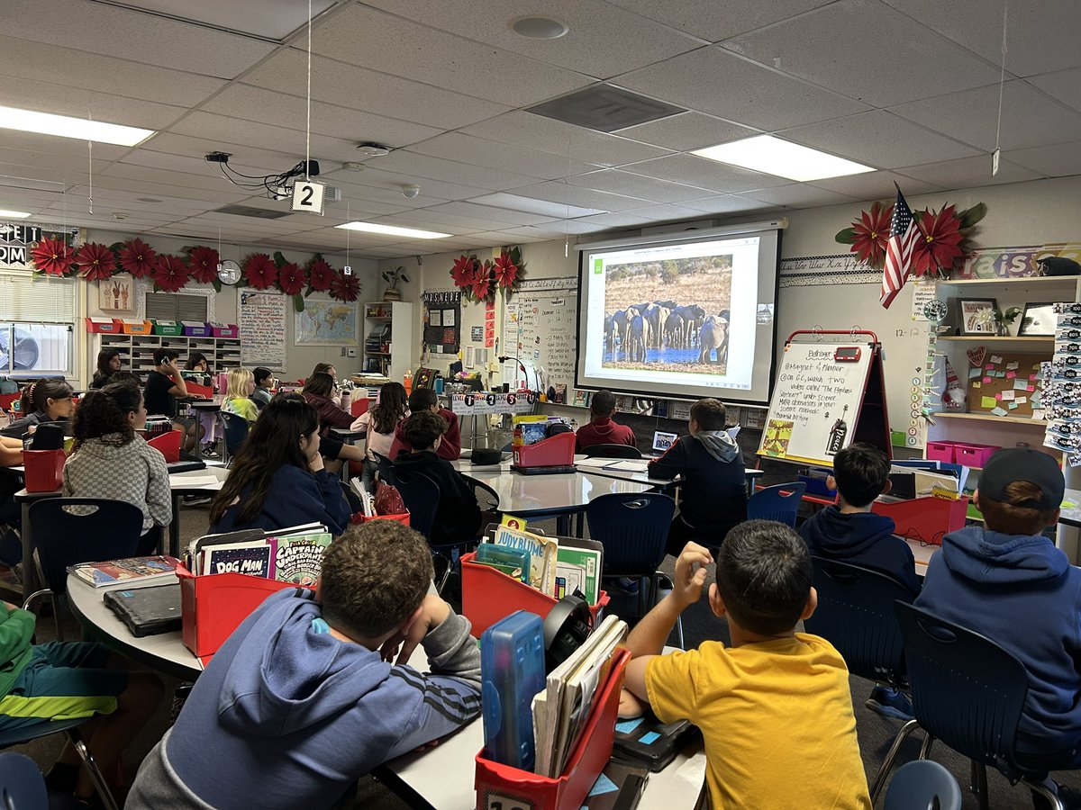 We read, researched, and learned about Flora the Elephant. We virtually visited the Elephant Sanctuary (where F retired  from circus) in TN.  We learned how elephants are able to live in a place much like their very own natural habitat! Maybe a Ss will be a vet or care staff 🐘🌲
