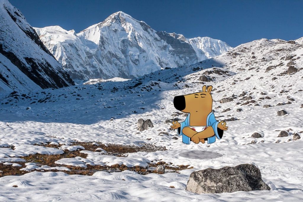 just a chill guy | fan page tweet media