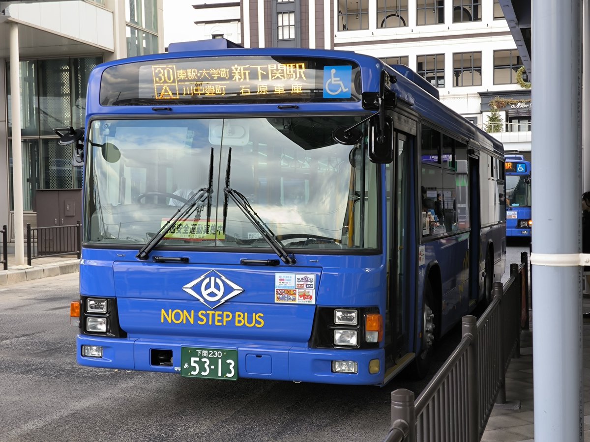 三線 ちんだみ三線店 チュン赤 二重張三線