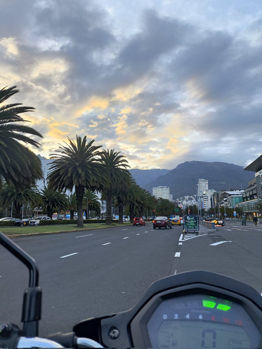 LMD22's tweet photo. 🙌🏻✨ https://t.co/0e9xZBOoM6