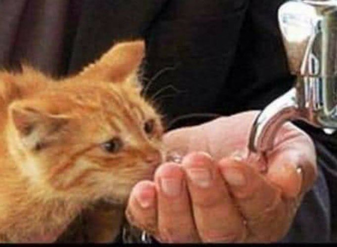 Es Selamünaleyküm 

Allah'ın adıyla...
Allah Resûlüne Sâlât ve Selâm olsun...

BismillâhirRahmânirRahim
Ey iman edenler.!
"Allah’tan korkun, O’na yaklaşmaya vesile arayın ve O’nun yolunda çaba harcayın ki kurtuluşa eresiniz.”

Emâneti Zâyi Etmeyen Rabb'îme Emanet olunuz...