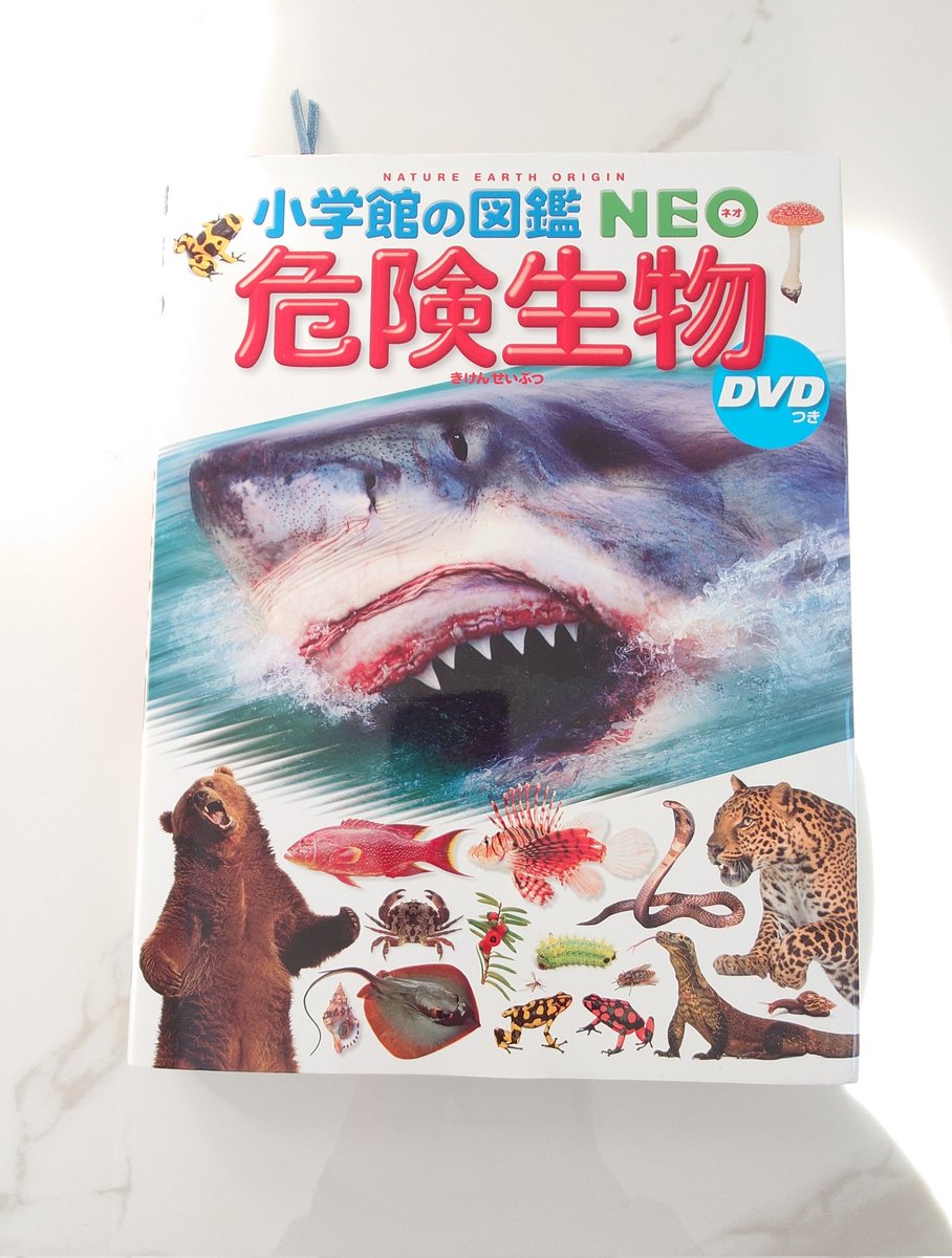 DesignNagimom's tweet photo. サンタさんからはシルバニアをもらう予定で、おかあさんからは図鑑をあげる��、って伝えたら選んだのがこれ。

なんでそんなに危険生物が好きなの？と聞いたら、👧「好きなわけじゃない、知ってたら、パパとママを守ってあげられるから」

うぅ、泣ける🥹　でも、ホントはちょっと好きなんでしょ😏 https://t.co/ii0pJiMH6s