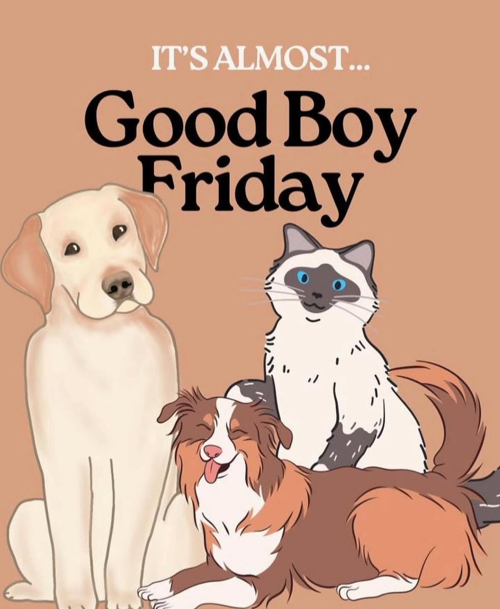 BarstoolStetson's tweet image. 🚨HOLIDAY EDITION🚨 DM us pictures of your dogs/cats in holiday attire to help featured! Deadline is Friday morning 🐶🐱 #GoodBoyFriday