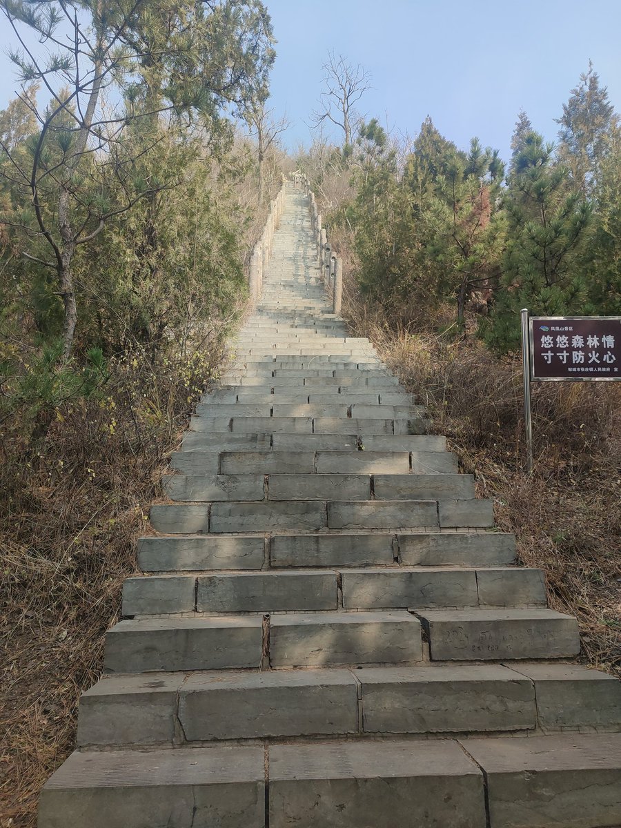 水逆的两个月快过去了…
希望春节前顺顺利利的～