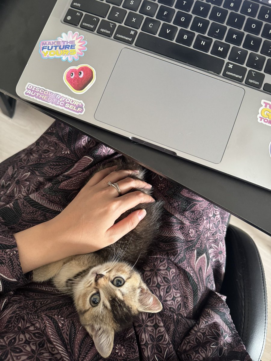 najihahshahrel's tweet photo. POV: you adopted the CLINGIEST kitten in the world 😭

Biscotti si kucing kemasan sachet clingy parah https://t.co/lDMjJQZVcd