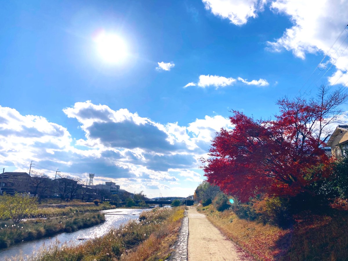 harucafe888's tweet photo. 河原を自転車で https://t.co/clsM5JK26h