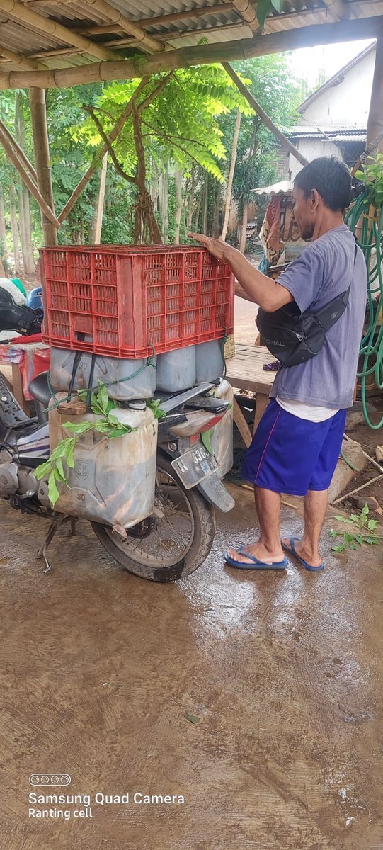 yogayonut's tweet photo. Minggu (13/10/24), Yoga Yonut, S. Pi,  Luhkan Kota Probolinggo, Panen budidaya  Lele milik Ibu Misri, 107 kg konsumsi, harga Rp. 18.500/Kg, Pemasaran kota Probolinggo #GiatluhkanSatminkalBWI #luhlapor #KtProbolinggo
@bppsdm_bp3bwi
@pusluh_bppsdm
@kkpgoid https://t.co/t5oQlpUeM7