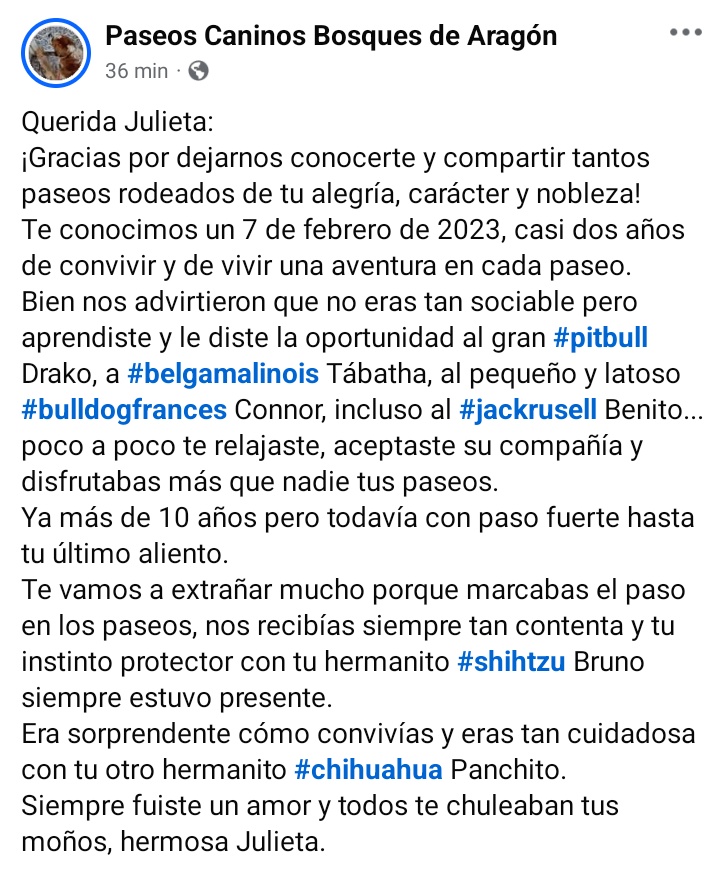 paseoscaninosba's tweet photo. ¡Vuela alto querida Julieta!
#SanBernardo https://t.co/soUzlEXDBL