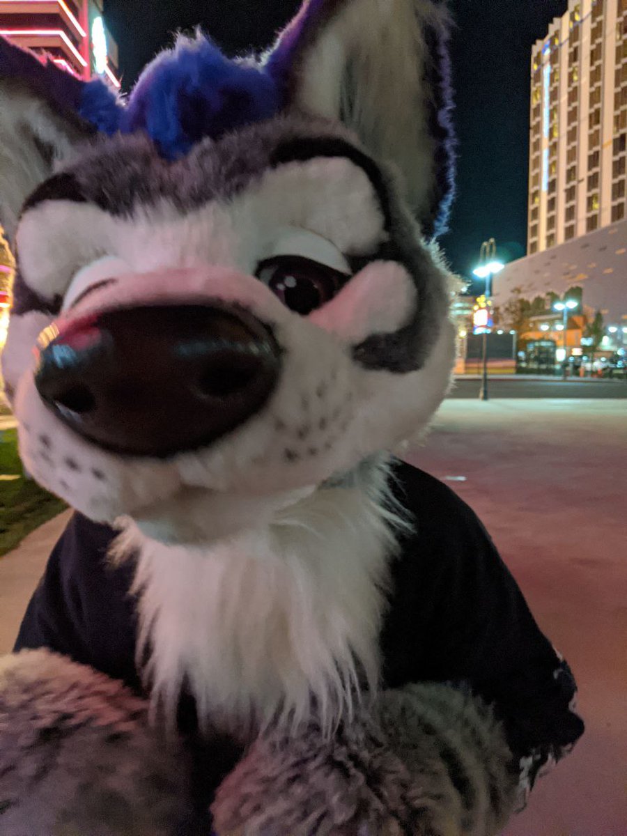 Dirty Paws tweet media