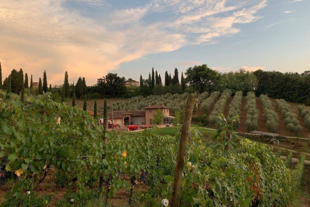 Alberto Antonini visited Australia recently to promote his Poggiotondo Tuscan wines, as well as to consult with wineries here, such as Pizzini, to whom he has consulted for 25 years. buff.ly/3De11AM