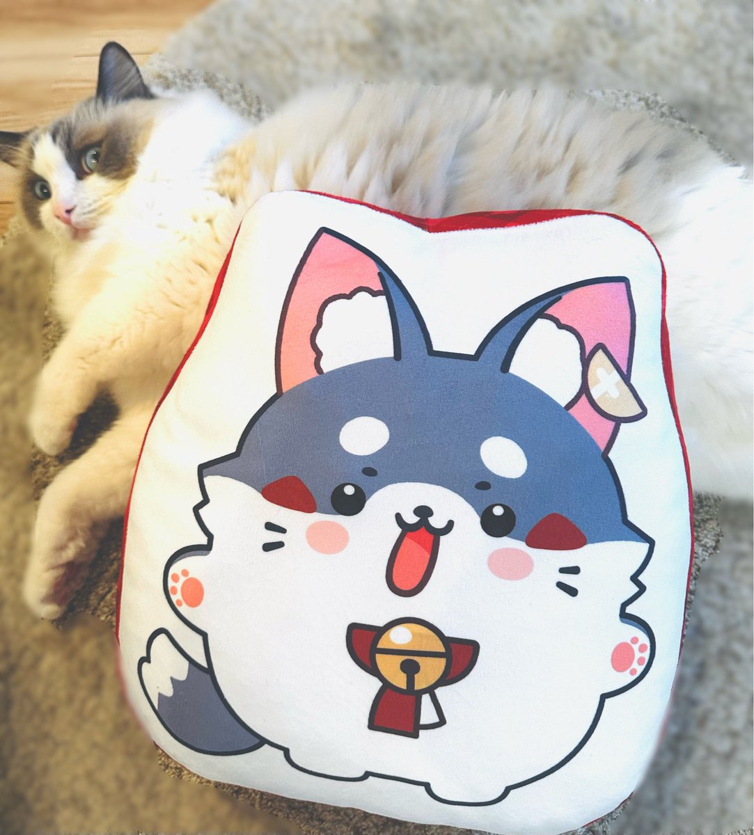 ミオファダイカットクッション、見本届いたから公開𐐃 ·̫ 𐐃♥ (※猫